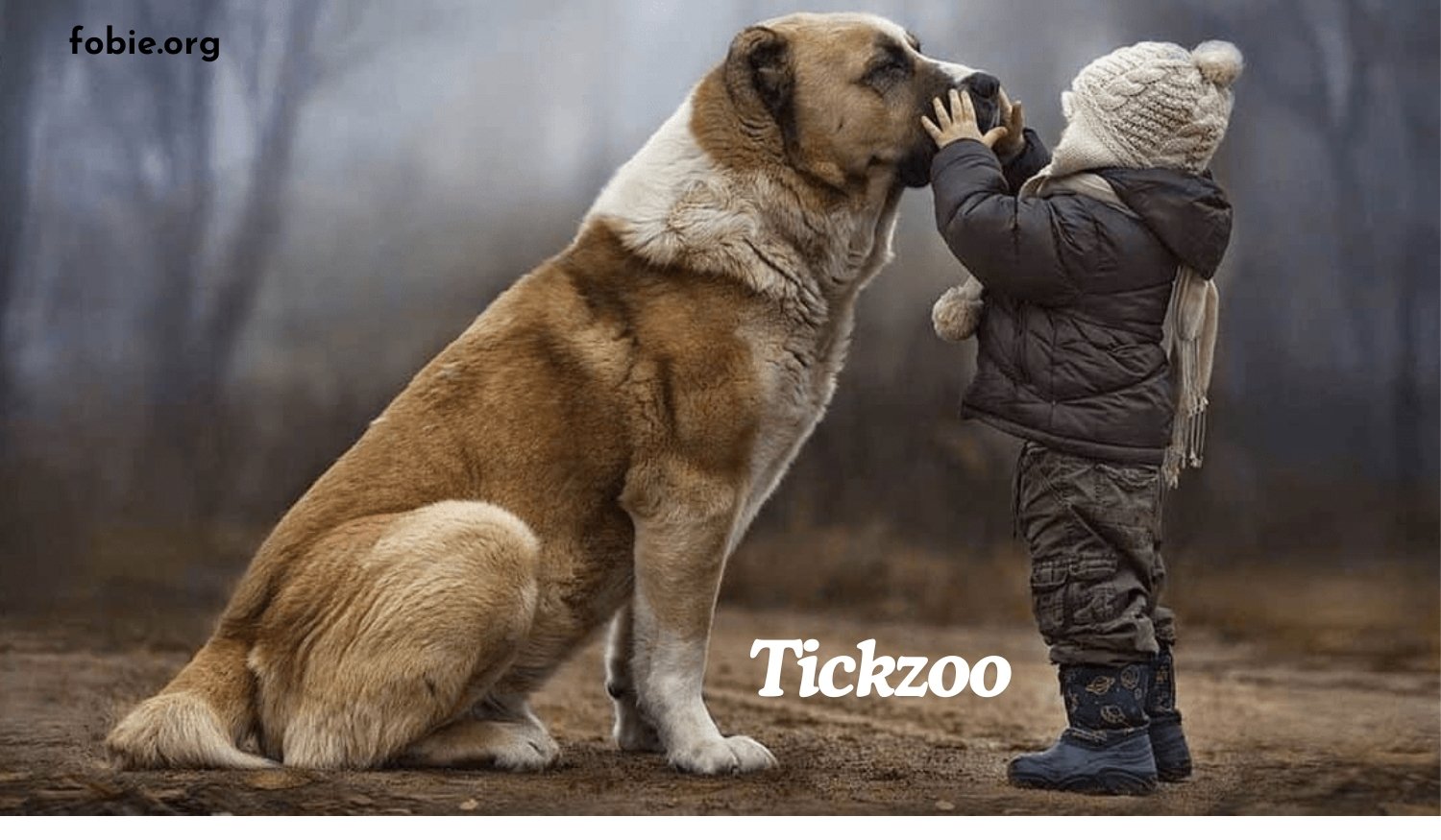 tickzoo