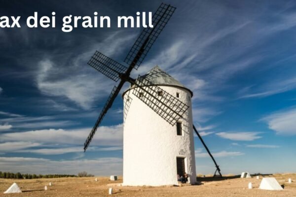 pax dei grain mill