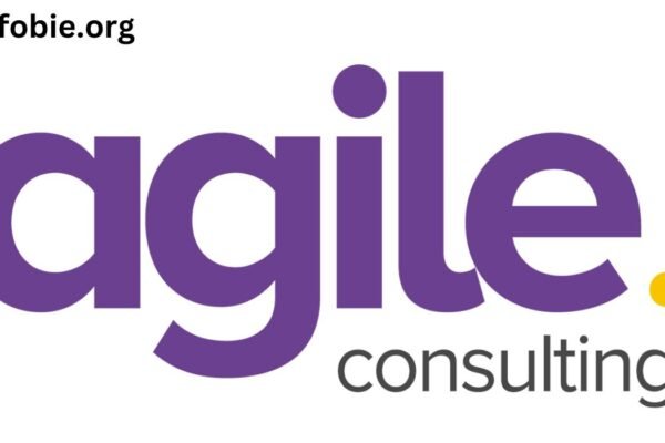 Agile Consulting Services