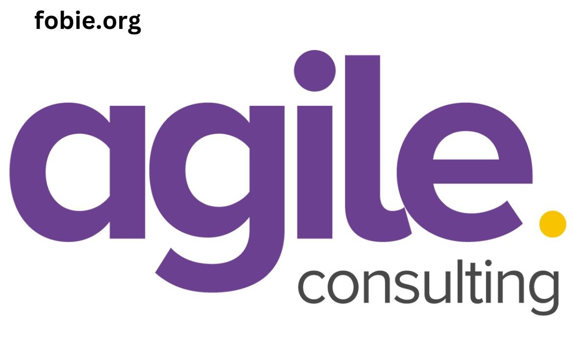 Agile Consulting Services