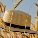 best carb cap for carta 2 2024 holiday table w101