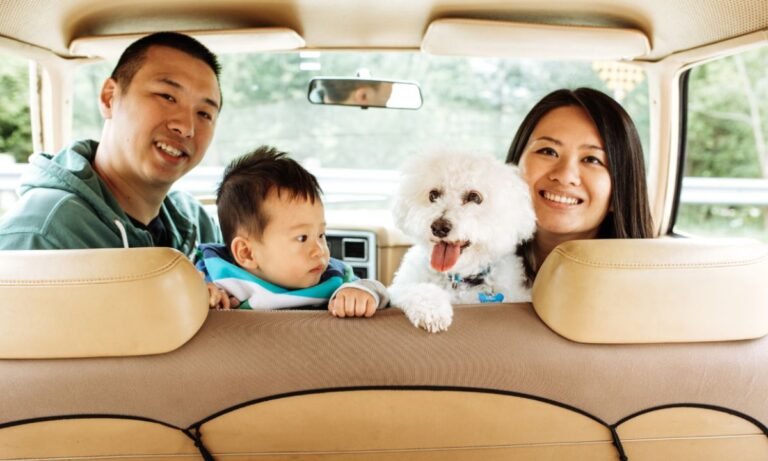 Smooth Pet Transportation