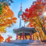 Digital Essentials for First-Time Travelers to Korea