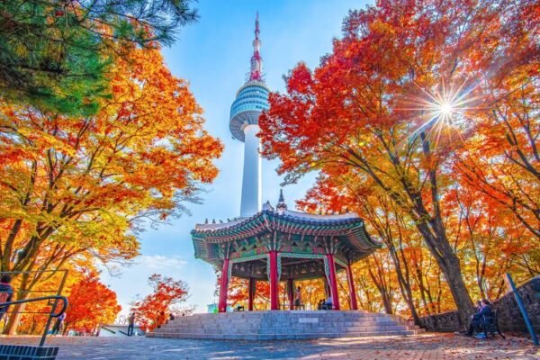 Digital Essentials for First-Time Travelers to Korea