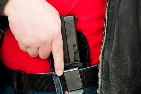 Conceal and Carry Personal Items