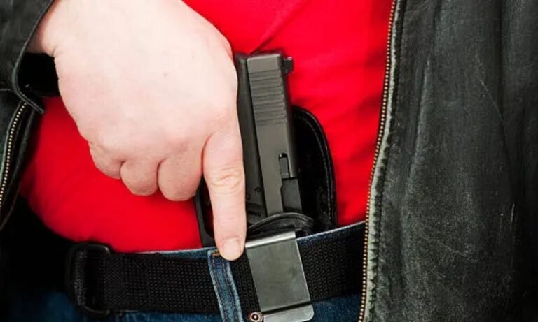 Conceal and Carry Personal Items