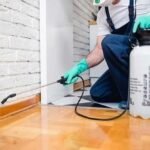 Effective Pest Control Tips