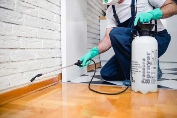 Effective Pest Control Tips