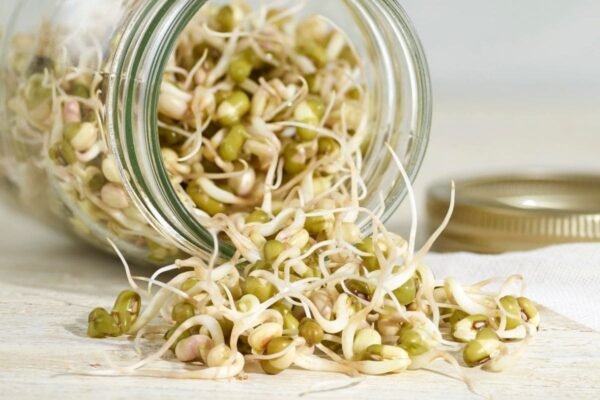 Bean Sprouts