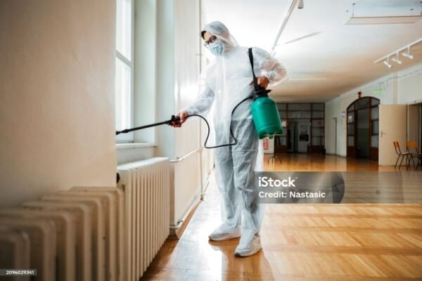 Pest Control in Urban Areas