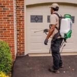 Ways to Keep Pests Out of Your Home