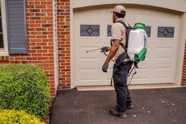 Ways to Keep Pests Out of Your Home