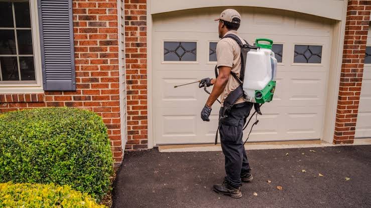Ways to Keep Pests Out of Your Home